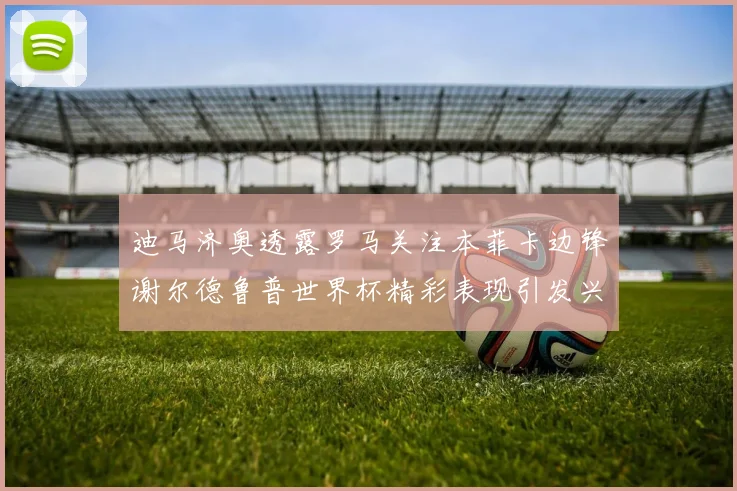 迪马济奥透露罗马关注本菲卡边锋谢尔德鲁普世界杯精彩表现引发兴趣